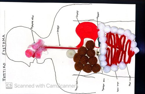 Κατασκευές