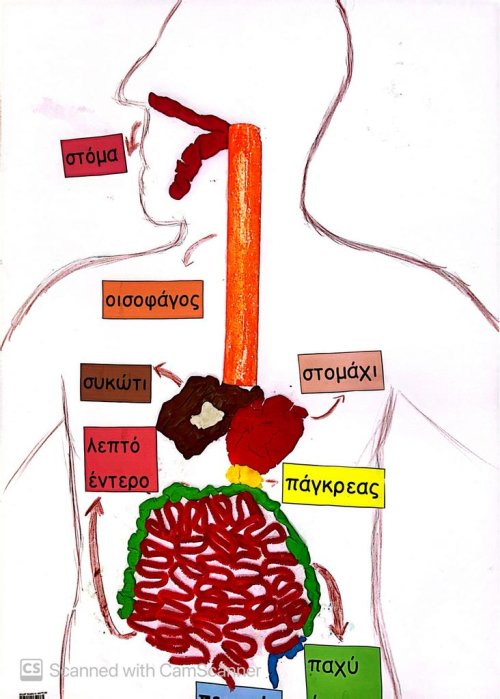 Κατασκευές